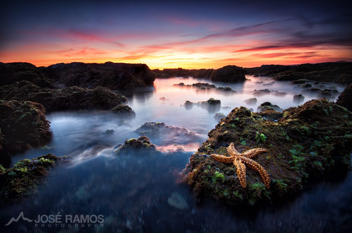 Long exposure waterscape photography in Vila Nova de Milfontes, in the Alentejo region, depicting a starfish, made by landscape photographer José Ramos from Portugal