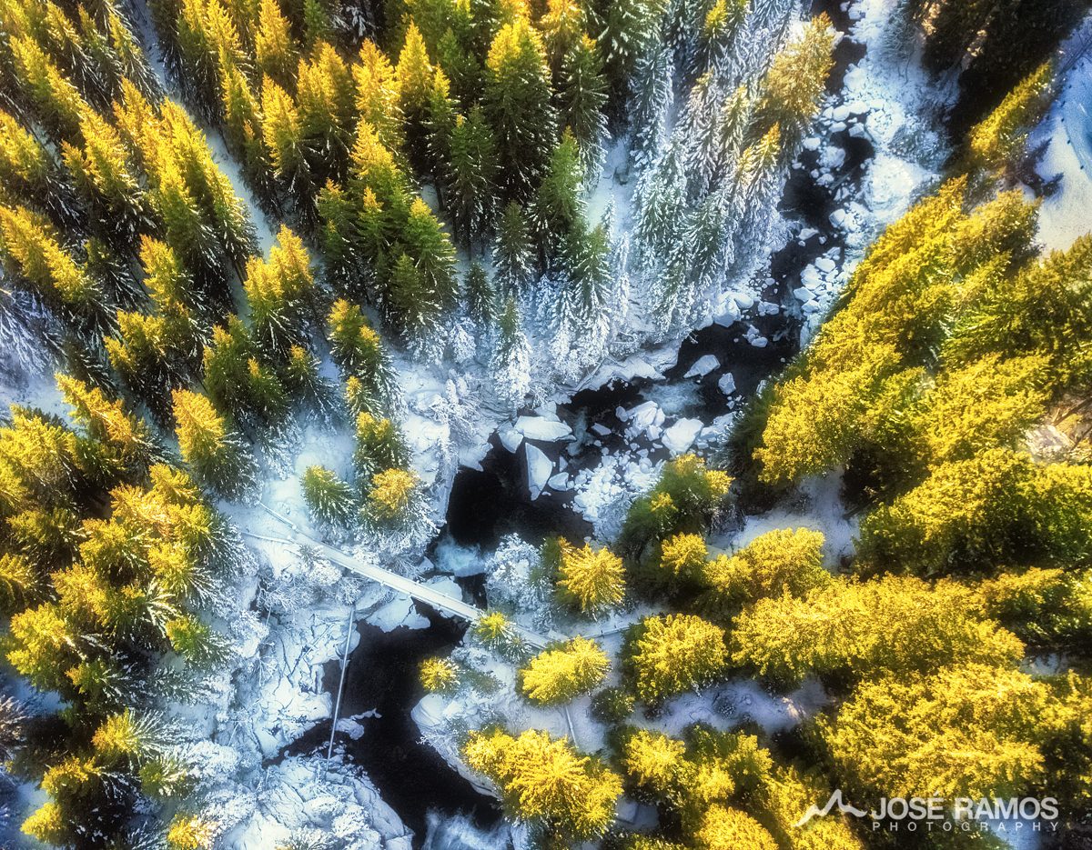 Aerial drone photography showing the Paneveggio Forest in Dolomites, Italy, shot by landscape photographer José Ramos